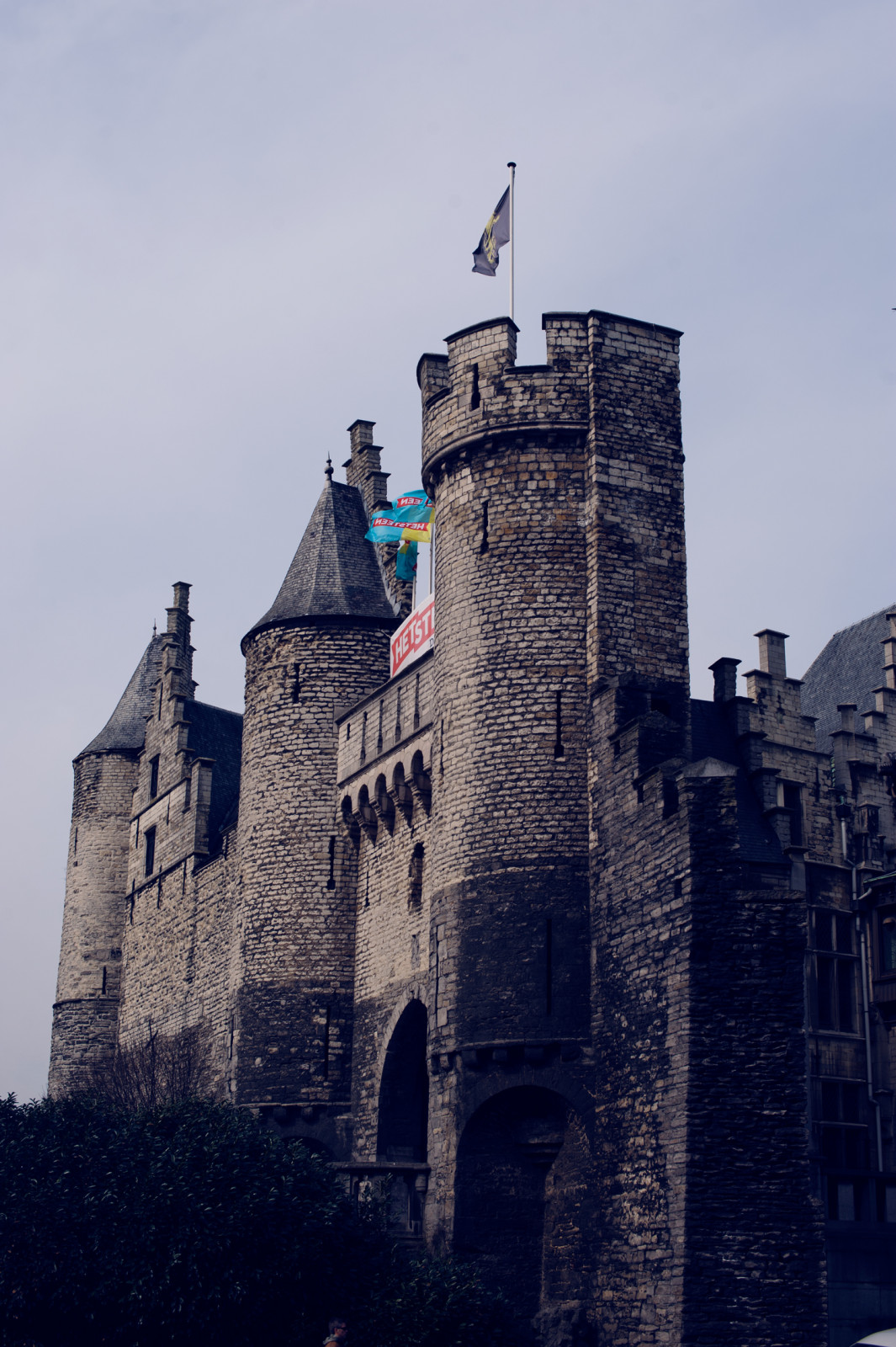 DSC_0253