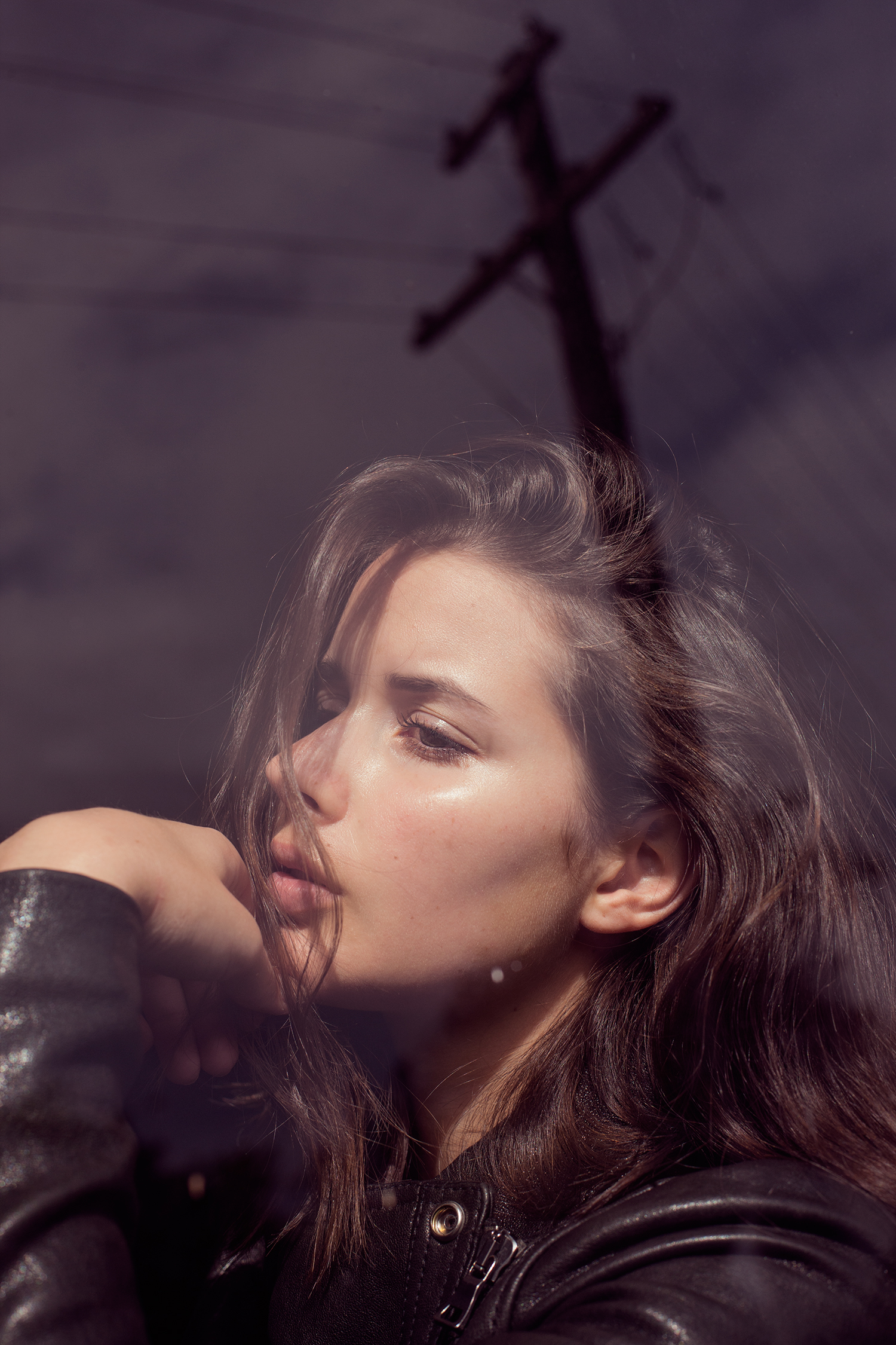Sara-4d