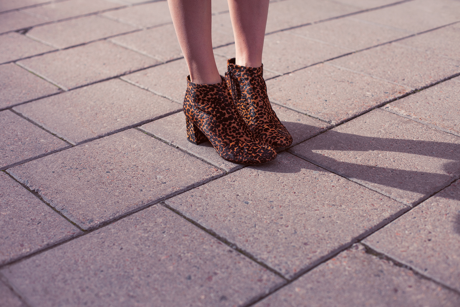 Outfit-61c