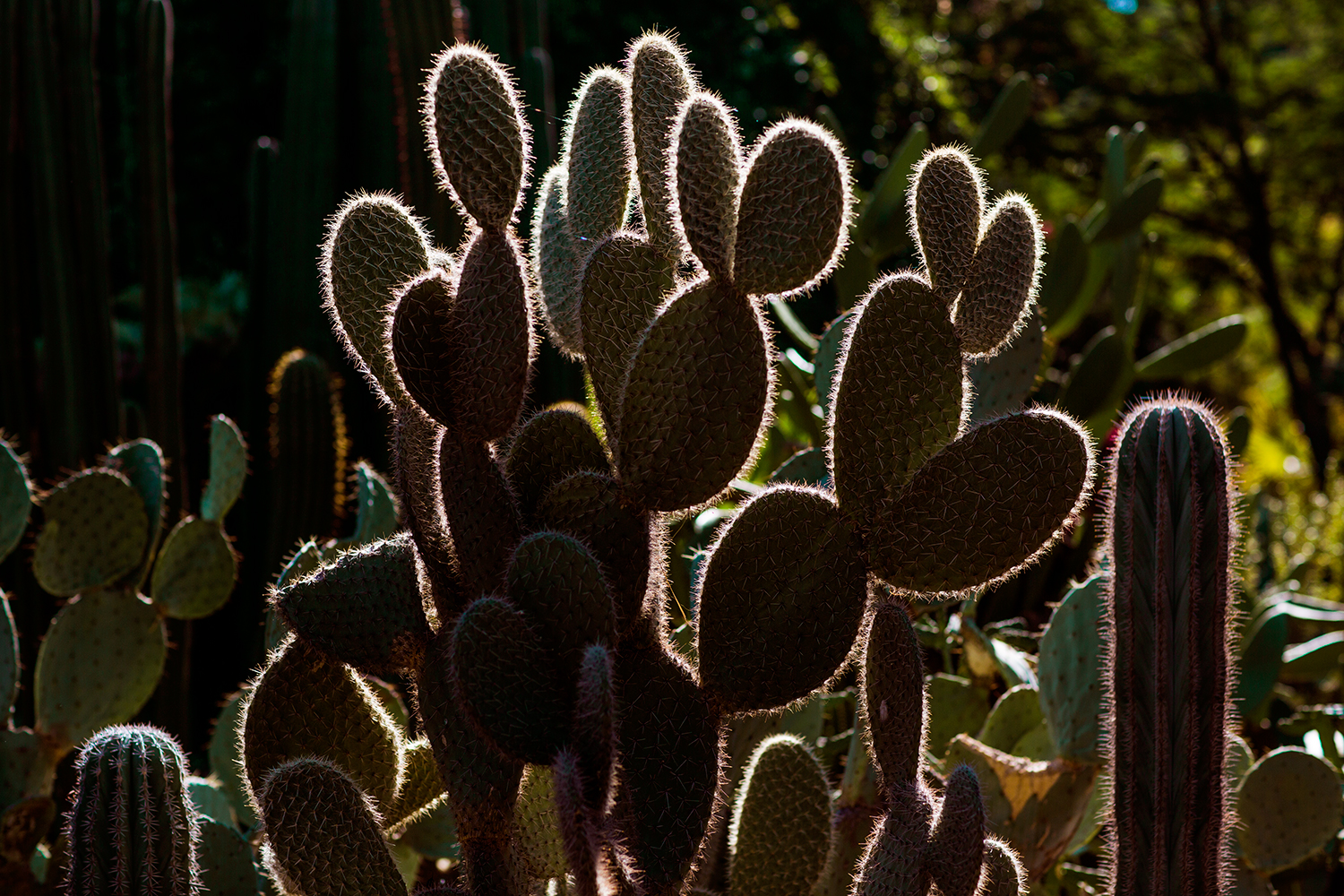 Marrakech-12