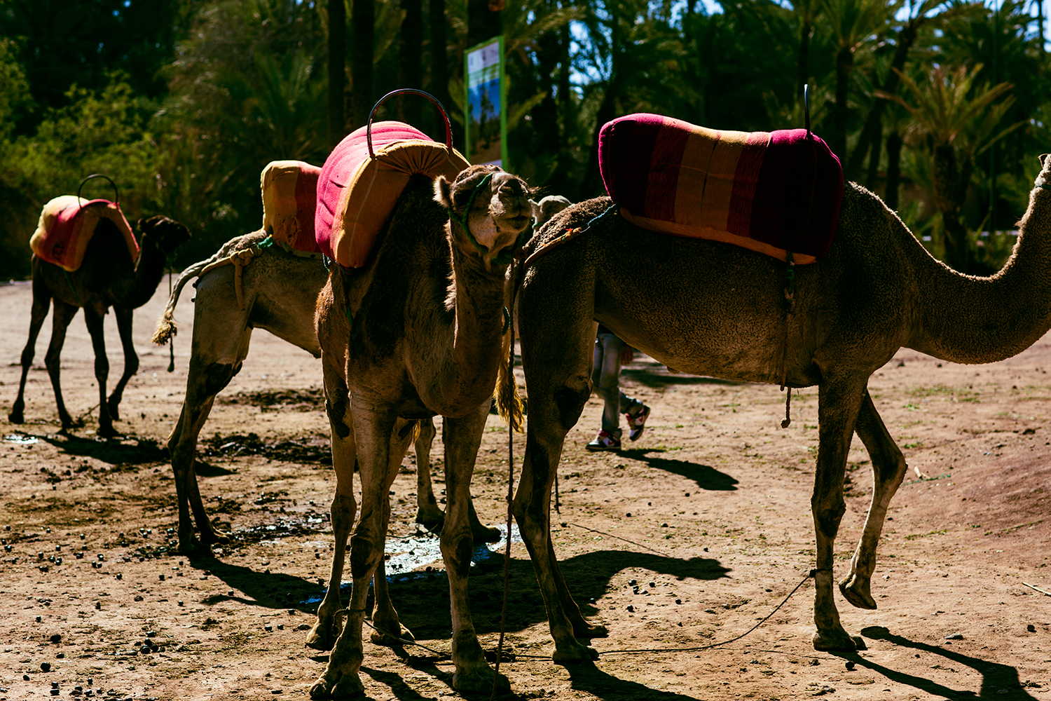 Marrakech-2