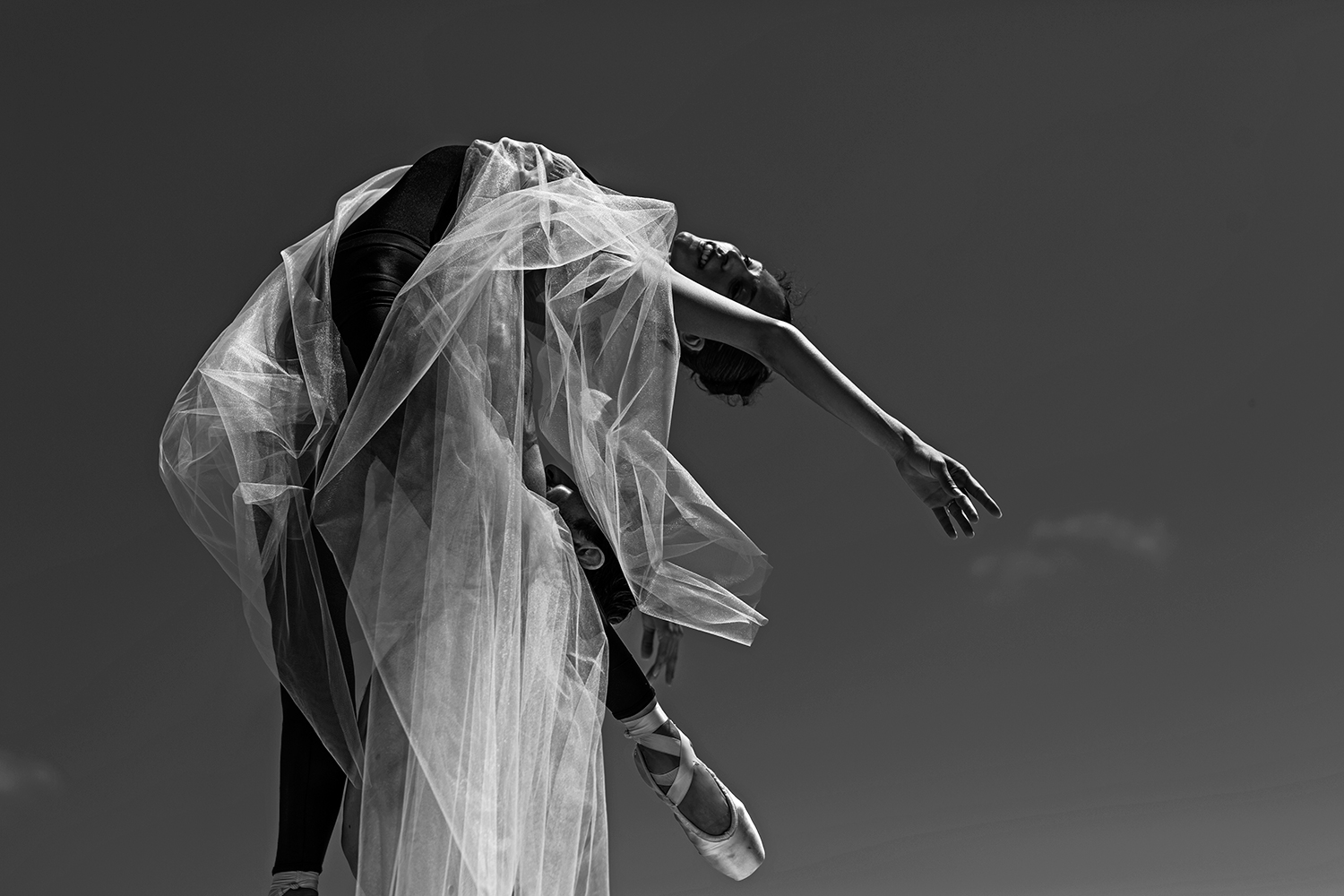 Pas-de-Deux-2