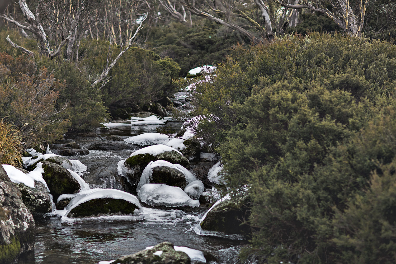 Sara-knit-mr-mittens-thredbo-stream