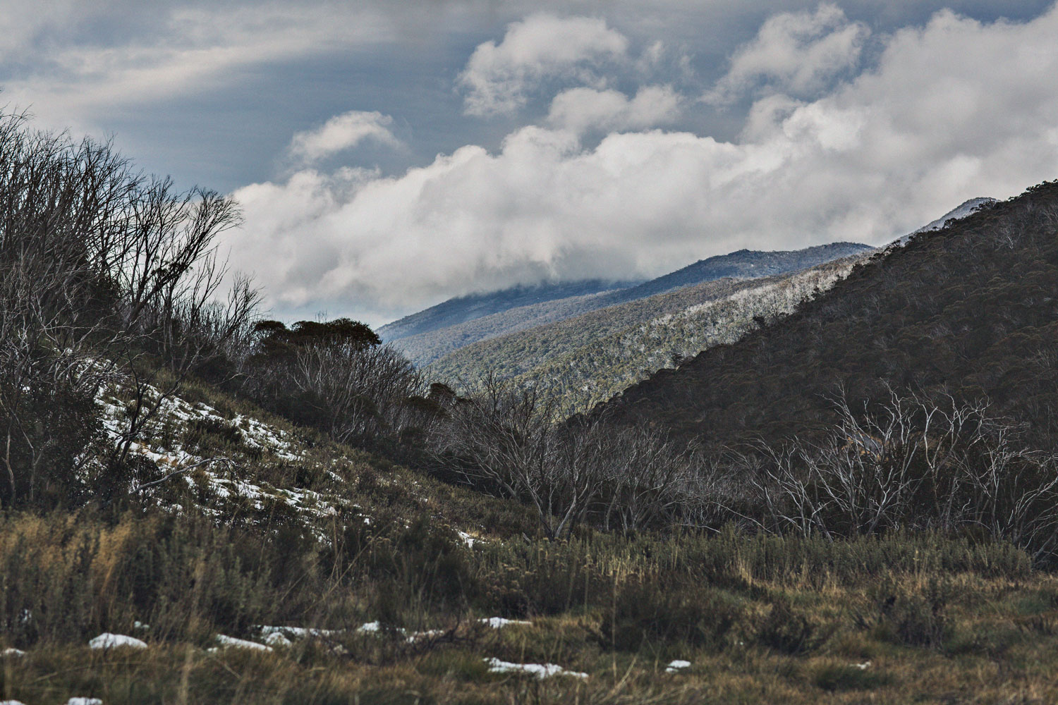 Sara-knit-mr-mittens-thredbo