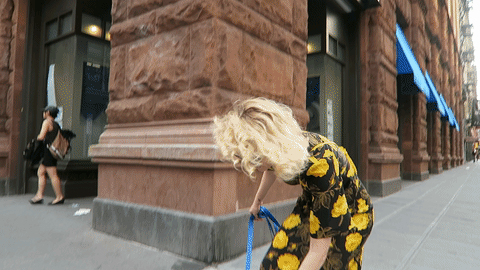 giphy (1)