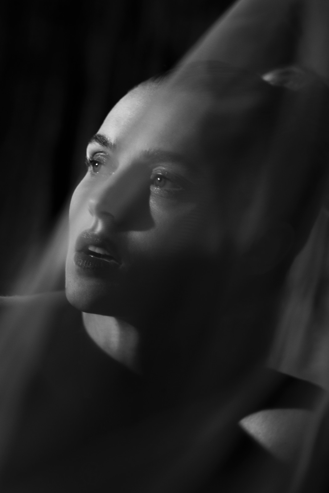Teresa-5